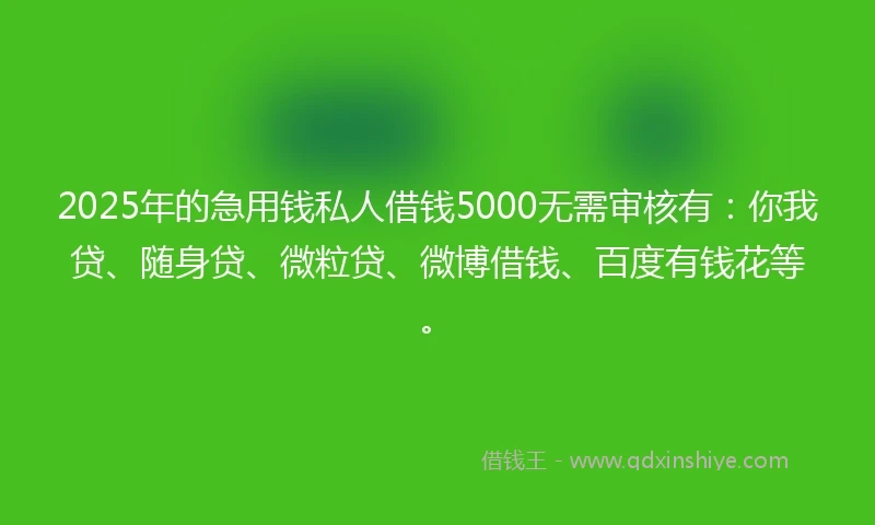 2025年的急用钱私人借钱5000无需审核有：你我贷、随身贷、微粒贷、微博借钱、百度有钱花等。