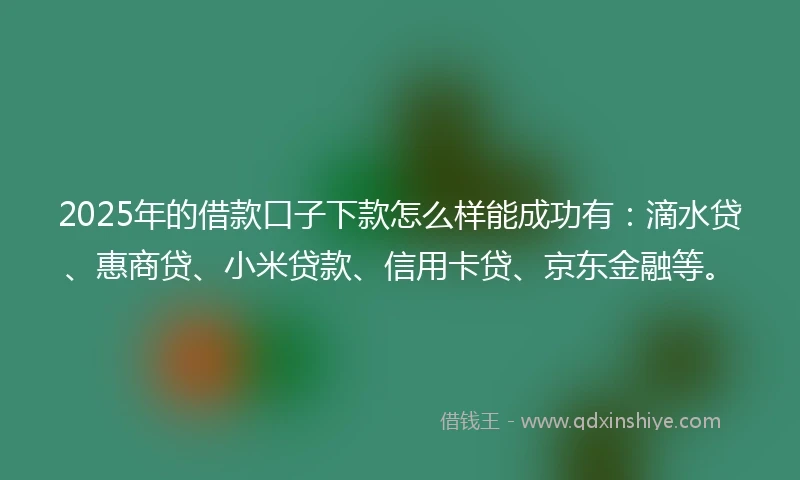 2025年的借款口子下款怎么样能成功有：滴水贷、惠商贷、小米贷款、信用卡贷、京东金融等。