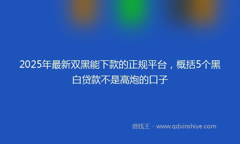 2025年最新双黑能下款的正规平台，概括5个黑白贷款不是高炮的口子
