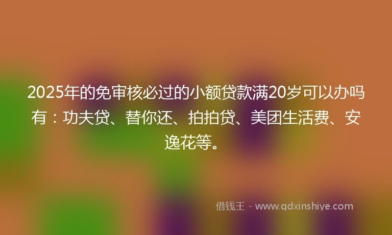 2025年的免审核必过的小额贷款满20岁可以办吗有：功夫贷、替你还、拍拍贷、美团生活费、安逸花等。