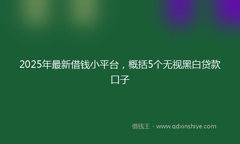 2025年最新借钱小平台，概括5个无视黑白贷款口子