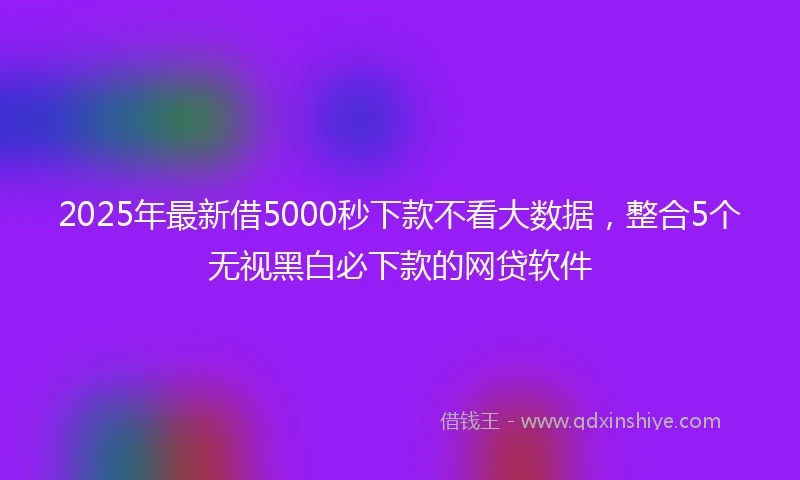 2025年最新借5000秒下款不看大数据，整合5个无视黑白必下款的网贷软件