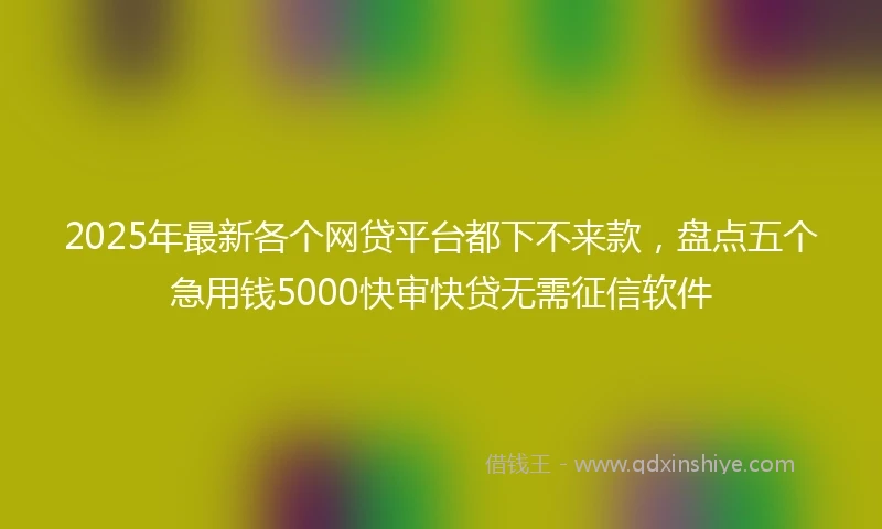 2025年最新各个网贷平台都下不来款，盘点五个急用钱5000快审快贷无需征信软件