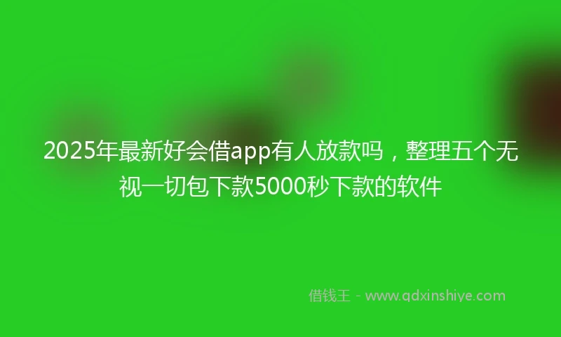 2025年最新好会借app有人放款吗，整理五个无视一切包下款5000秒下款的软件