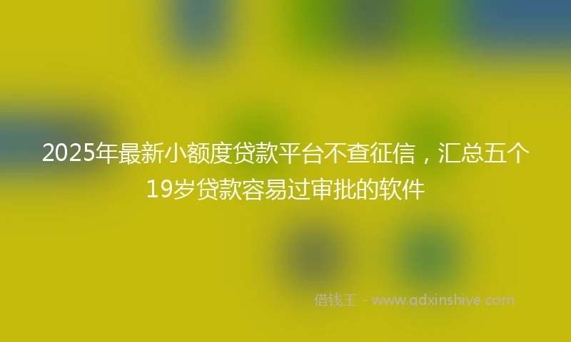2025年最新小额度贷款平台不查征信，汇总五个19岁贷款容易过审批的软件