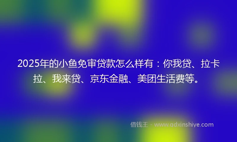 2025年的小鱼免审贷款怎么样有：你我贷、拉卡拉、我来贷、京东金融、美团生活费等。