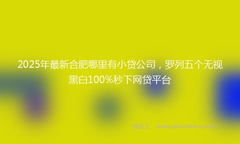 2025年最新合肥哪里有小贷公司，罗列五个无视黑白100%秒下网贷平台