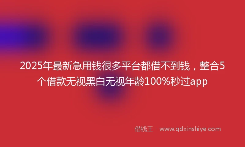 2025年最新急用钱很多平台都借不到钱，整合5个借款无视黑白无视年龄100%秒过app