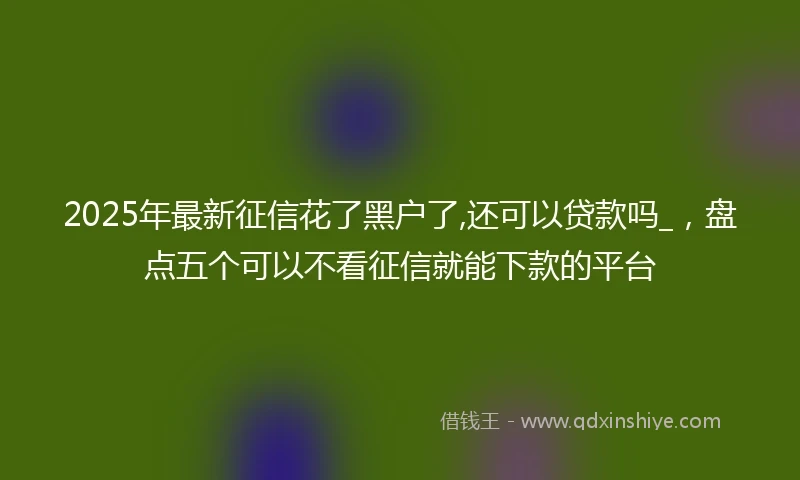 2025年最新征信花了黑户了,还可以贷款吗_，盘点五个可以不看征信就能下款的平台