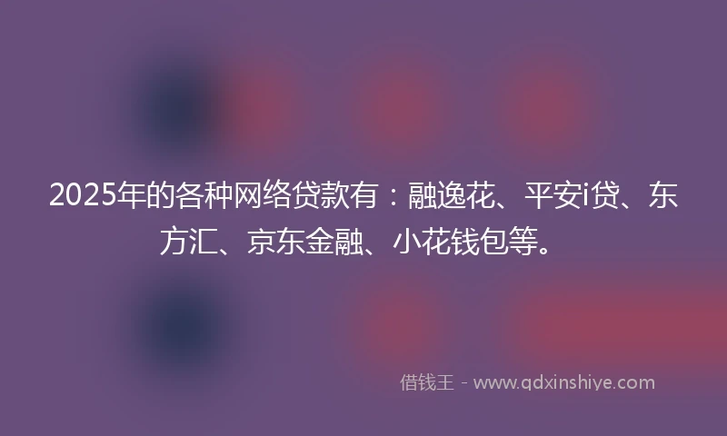 2025年的各种网络贷款有：融逸花、平安i贷、东方汇、京东金融、小花钱包等。
