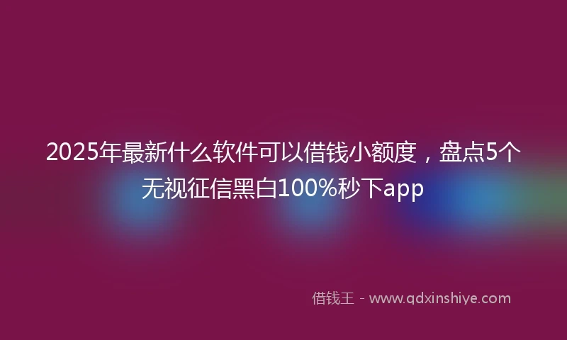 2025年最新什么软件可以借钱小额度，盘点5个无视征信黑白100%秒下app