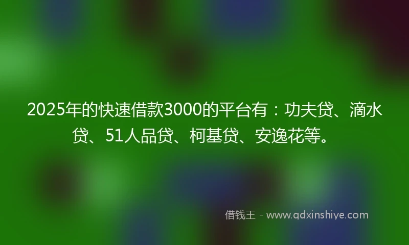 2025年的快速借款3000的平台有：功夫贷、滴水贷、51人品贷、柯基贷、安逸花等。