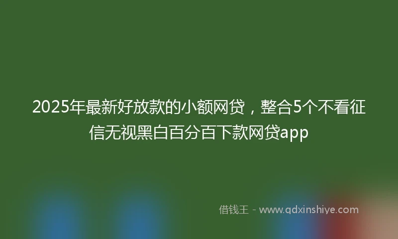 2025年最新好放款的小额网贷，整合5个不看征信无视黑白百分百下款网贷app