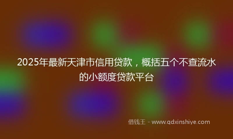 2025年最新天津市信用贷款，概括五个不查流水的小额度贷款平台