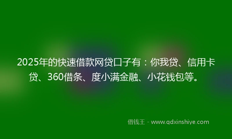 2025年的快速借款网贷口子有：你我贷、信用卡贷、360借条、度小满金融、小花钱包等。