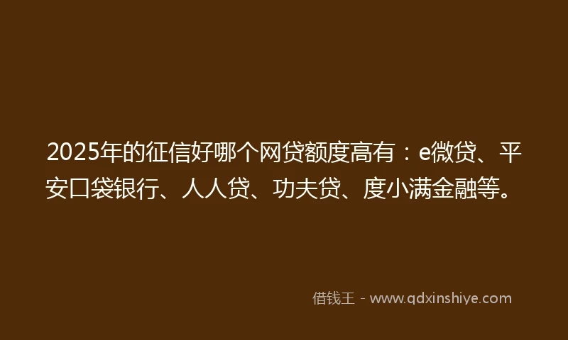 2025年的征信好哪个网贷额度高有：e微贷、平安口袋银行、人人贷、功夫贷、度小满金融等。