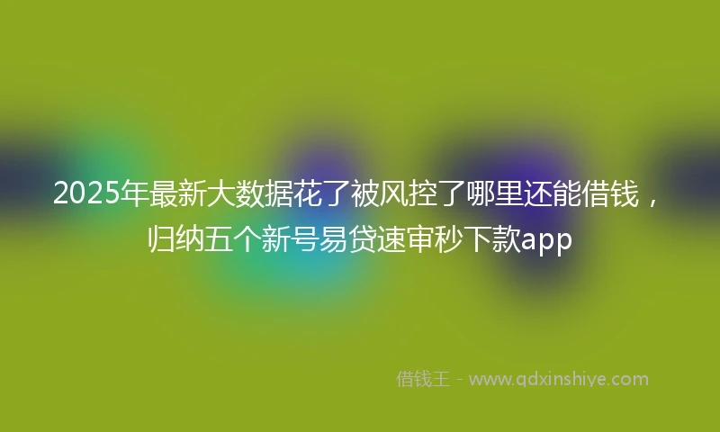 2025年最新大数据花了被风控了哪里还能借钱，归纳五个新号易贷速审秒下款app