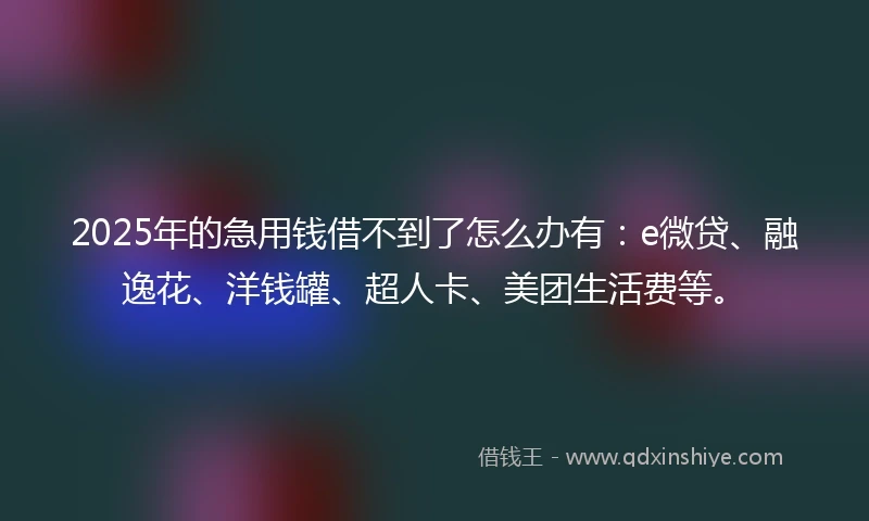 2025年的急用钱借不到了怎么办有：e微贷、融逸花、洋钱罐、超人卡、美团生活费等。
