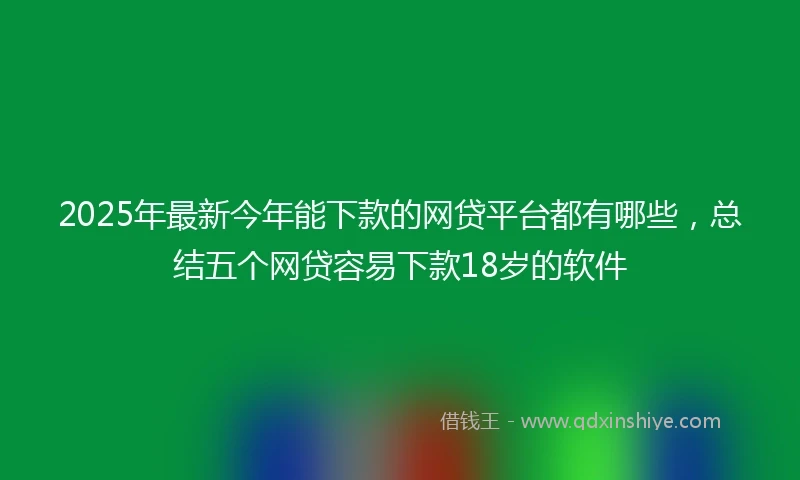 2025年最新今年能下款的网贷平台都有哪些，总结五个网贷容易下款18岁的软件