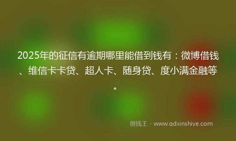 2025年的征信有逾期哪里能借到钱有：微博借钱、维信卡卡贷、超人卡、随身贷、度小满金融等。