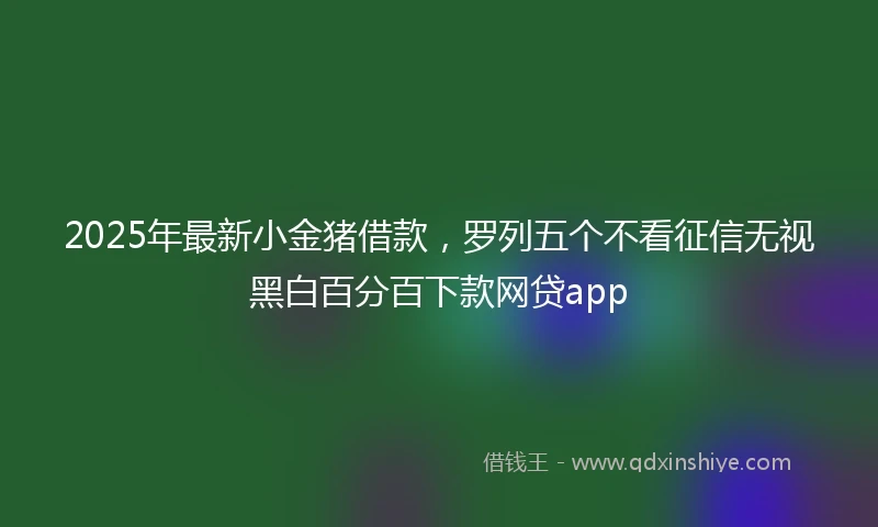 2025年最新小金猪借款，罗列五个不看征信无视黑白百分百下款网贷app