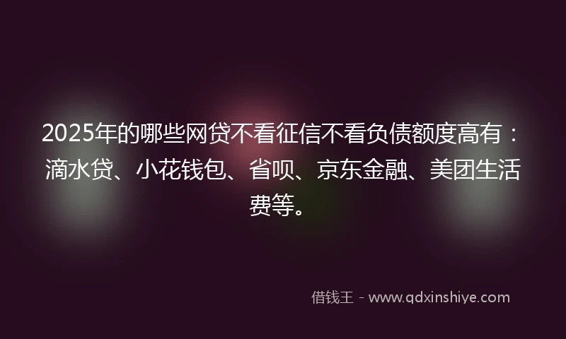 2025年的哪些网贷不看征信不看负债额度高有：滴水贷、小花钱包、省呗、京东金融、美团生活费等。