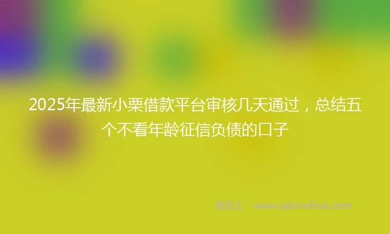 2025年最新小栗借款平台审核几天通过，总结五个不看年龄征信负债的口子