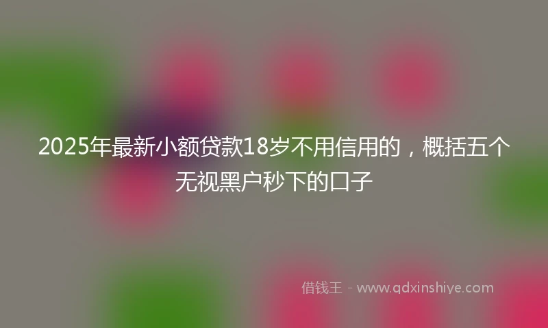2025年最新小额贷款18岁不用信用的，概括五个无视黑户秒下的口子