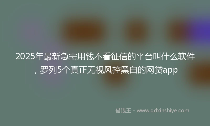 2025年最新急需用钱不看征信的平台叫什么软件，罗列5个真正无视风控黑白的网贷app