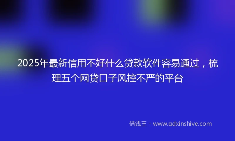 2025年最新信用不好什么贷款软件容易通过，梳理五个网贷口子风控不严的平台