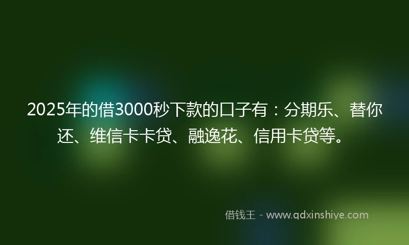 2025年的借3000秒下款的口子有：分期乐、替你还、维信卡卡贷、融逸花、信用卡贷等。