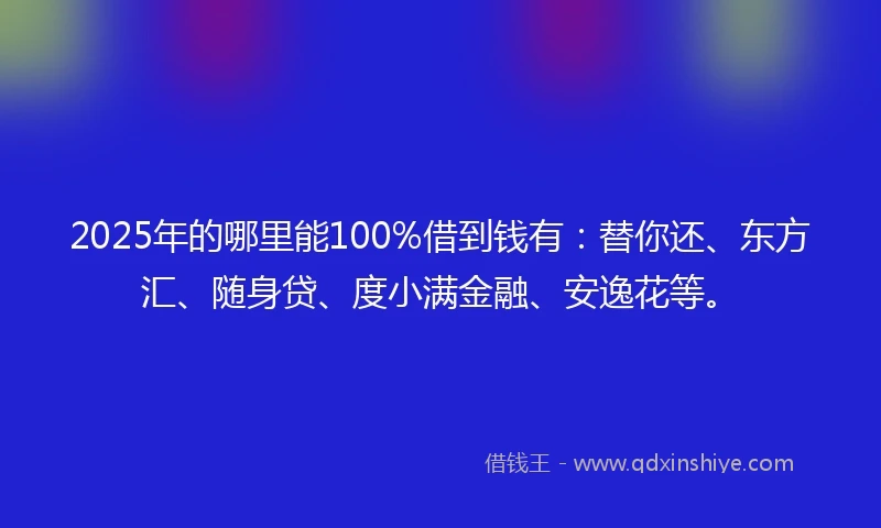 2025年的哪里能100%借到钱有：替你还、东方汇、随身贷、度小满金融、安逸花等。