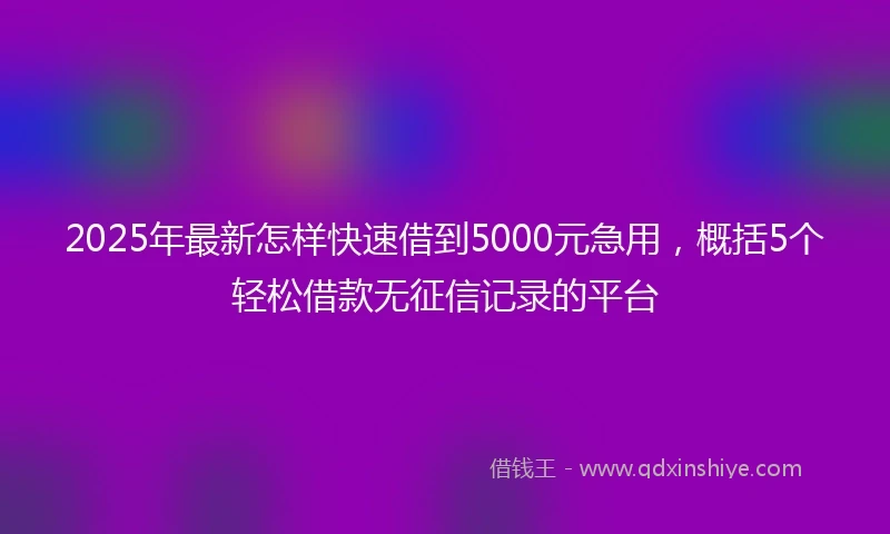 2025年最新怎样快速借到5000元急用，概括5个轻松借款无征信记录的平台
