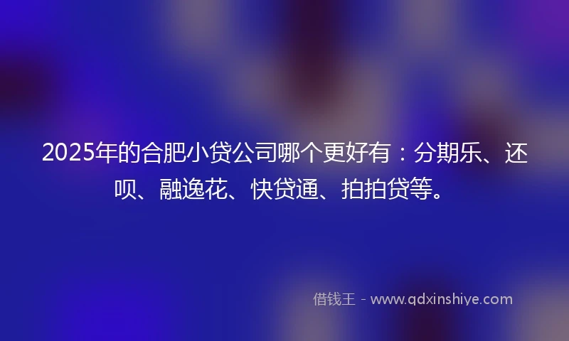 2025年的合肥小贷公司哪个更好有：分期乐、还呗、融逸花、快贷通、拍拍贷等。