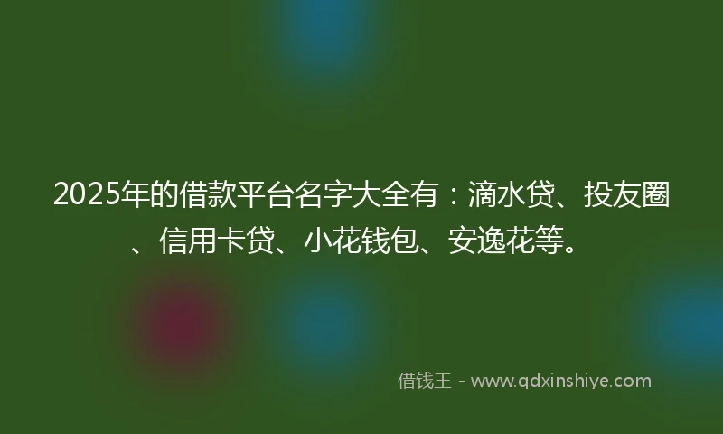 2025年的借款平台名字大全有：滴水贷、投友圈、信用卡贷、小花钱包、安逸花等。