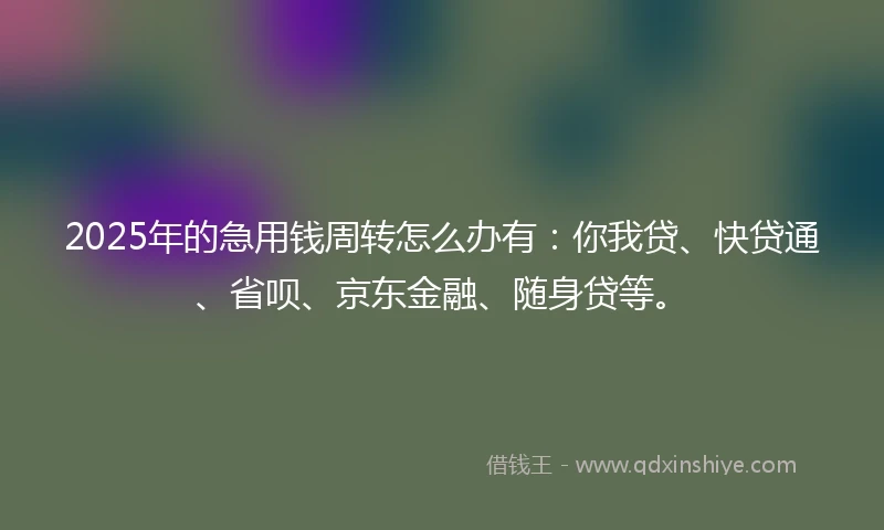2025年的急用钱周转怎么办有：你我贷、快贷通、省呗、京东金融、随身贷等。