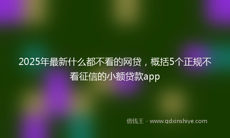 2025年最新什么都不看的网贷，概括5个正规不看征信的小额贷款app