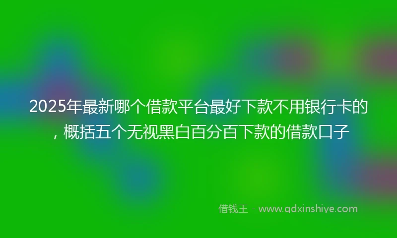 2025年最新哪个借款平台最好下款不用银行卡的，概括五个无视黑白百分百下款的借款口子