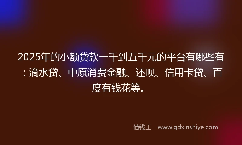 2025年的小额贷款一千到五千元的平台有哪些有：滴水贷、中原消费金融、还呗、信用卡贷、百度有钱花等。