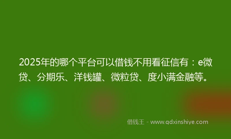 2025年的哪个平台可以借钱不用看征信有：e微贷、分期乐、洋钱罐、微粒贷、度小满金融等。