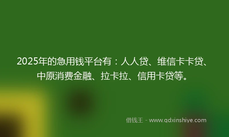 2025年的急用钱平台有：人人贷、维信卡卡贷、中原消费金融、拉卡拉、信用卡贷等。
