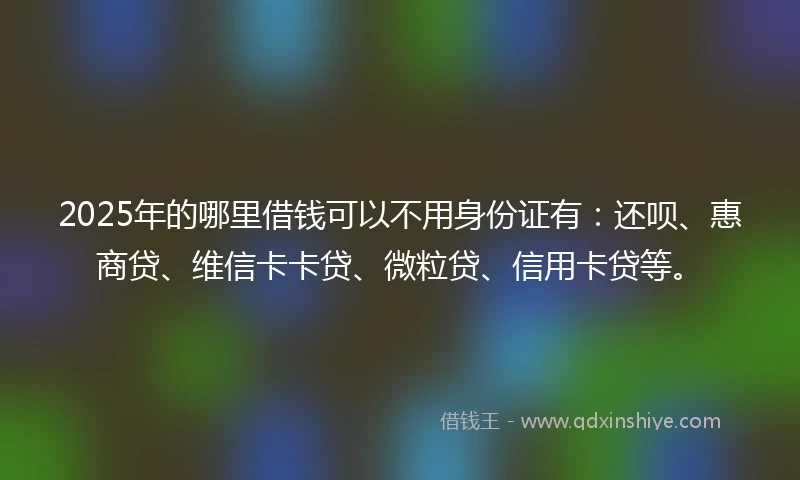 2025年的哪里借钱可以不用身份证有：还呗、惠商贷、维信卡卡贷、微粒贷、信用卡贷等。