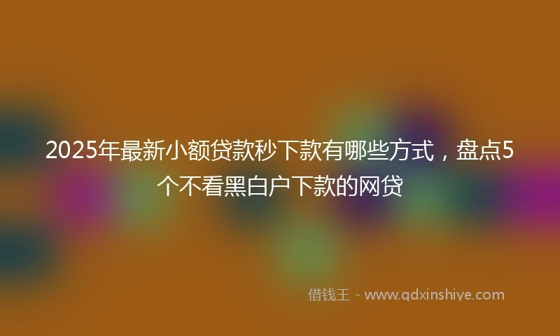 2025年最新小额贷款秒下款有哪些方式，盘点5个不看黑白户下款的网贷