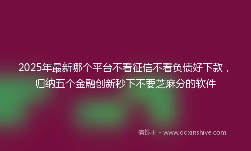 2025年最新哪个平台不看征信不看负债好下款，归纳五个金融创新秒下不要芝麻分的软件