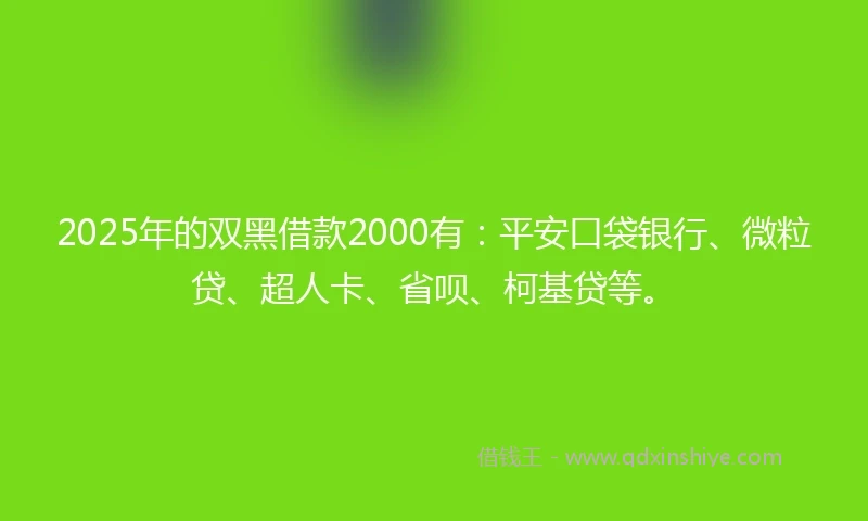 2025年的双黑借款2000有：平安口袋银行、微粒贷、超人卡、省呗、柯基贷等。