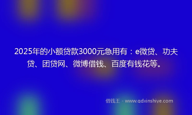 2025年的小额贷款3000元急用有：e微贷、功夫贷、团贷网、微博借钱、百度有钱花等。