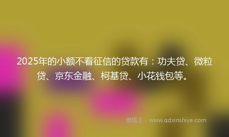 2025年的小额不看征信的贷款有：功夫贷、微粒贷、京东金融、柯基贷、小花钱包等。