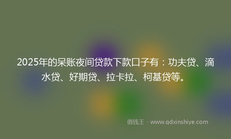 2025年的呆账夜间贷款下款口子有：功夫贷、滴水贷、好期贷、拉卡拉、柯基贷等。
