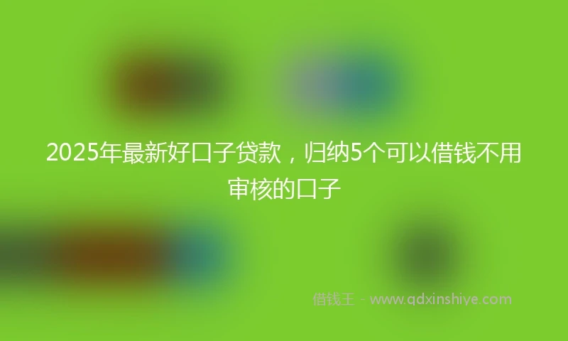 2025年最新好口子贷款，归纳5个可以借钱不用审核的口子