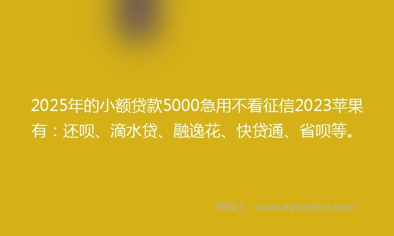 2025年的小额贷款5000急用不看征信2023苹果有：还呗、滴水贷、融逸花、快贷通、省呗等。